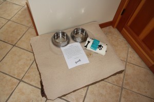 pet-friendly-rooms