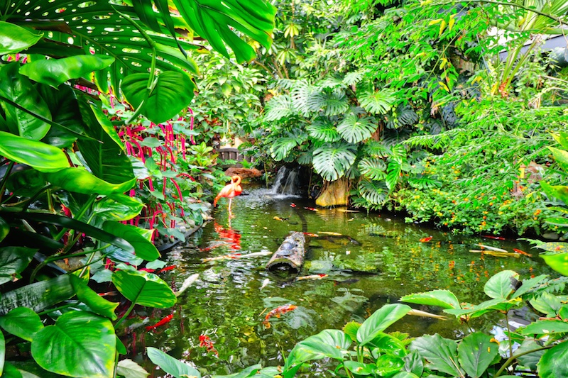 Butterfly Gardens, Vancouver Island